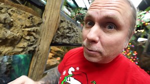 What experts say to do the instant your snake faces a dangerous issue