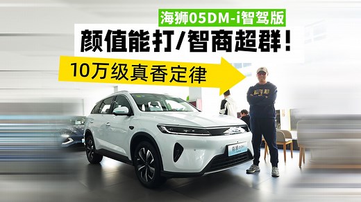 海狮 05DM-i 智驾版：10万级真香定律