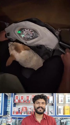 ഒന്നും നോക്കിയില്ല ലിഫ്റ്റ് ചോദിച്ചു ലിഫ്റ്റ് കൊടുത്തു 😍 #shorts #viral