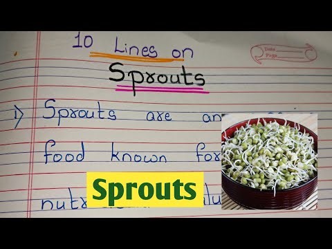 10 Lines on Sprouts // essay on sprouts // few sentences about sprouts// Sprouts essay in english