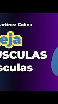 ¿Como poner mayúsculas y minúsculas en Python fácil? mayúsculas y minúsculas con python