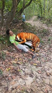 Tiger att*ack #viral #attack #tiger #vfx | Unique Life
