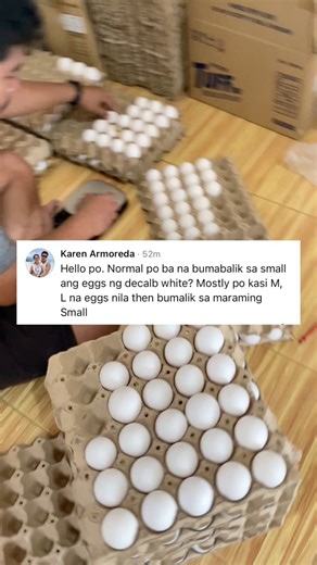 Is it normal for layer chicken egg sizes to go back to small sizes instead of medium and large? #poultryfarming #layerchicken #fblifestyle | Dodong King