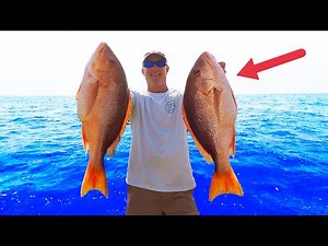 Snapper Fishing 30 MILES Offshore! [How To Techniques]
