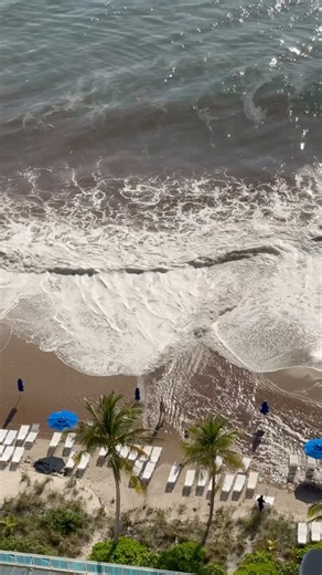 #beach wipeout #shorts