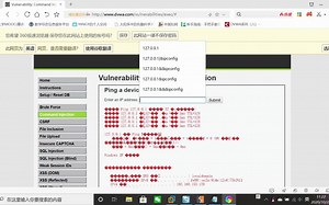 利用DVWA的Command Injection实验——低级、中级