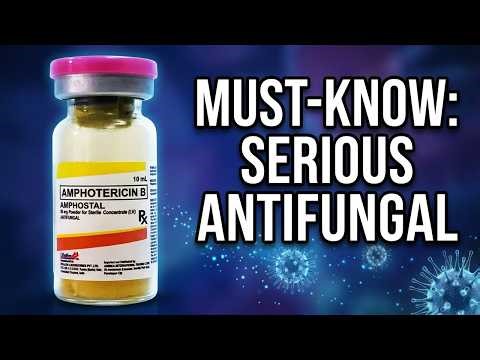 Amphotericin B Definition, Indications, Side Effects, and Contraindications (Antifungal Drug)