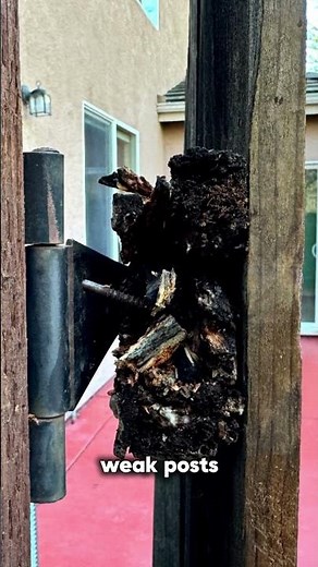 These Rotten Posts Nearly Collapsed My Fence #shorts #diy