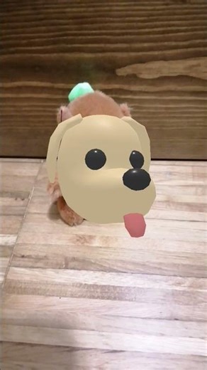 Capy play Roblox Box #1 #roblox #box #capybara