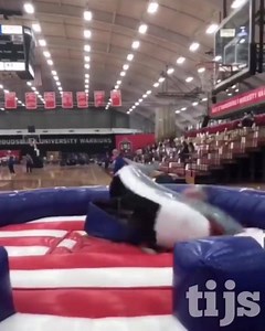 31K views · 604 reactions | Tutorial | Bananas for Breakfast | Facebook