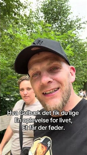 Se Gulbæk et får der føder🙈#prank #relatable #laugh #fyp #denmark