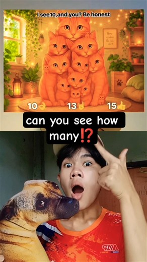 How many cats are there⁉️ #challenge #dailyshorts #goviral #funny