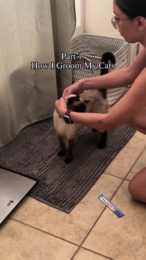 🐾✨ Welcome to part one of our grooming series featuring the fabulous Lola! 💖 Today, we’re diving into the essentials of keeping her coat shiny and tangle-free. We’ll show you how we turn this kitty spa day into a bonding experience. Stay tuned for tips on nail trimming and hairball prevention in the upcoming parts! Does your fcat love or loathe grooming time? Share your stories below! 👇 . . . #groomingseriespart1 #catbrush #catcare
