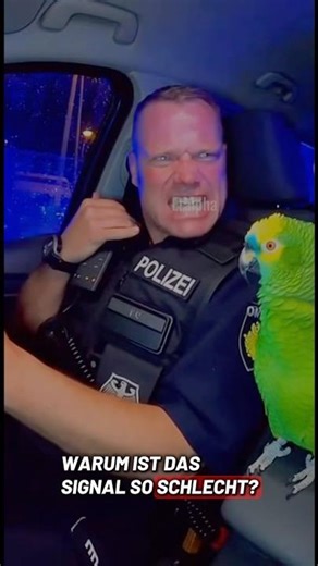 Why is the signal so bad?