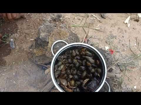 Simple Childhood Joys in Cambodia’s Countryside Part 07