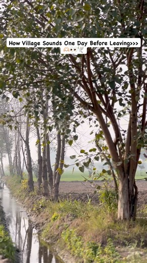 Mateen Khan on Instagram: "How Village Sounds One Day Before Leaving >>>❤️🌾🕊️#punjab #instagood #trending #viral #trendingnow"