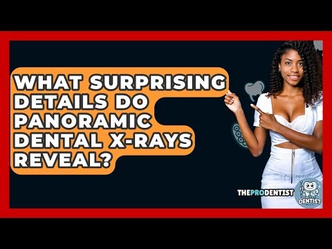 What Surprising Details Do Panoramic Dental X-rays Reveal? - The Pro Dentist
