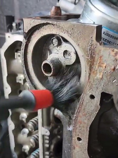 M365 Degreaser Cleans Dirty Engine Interior#heavydutycleaning #maintenancelife