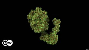 XFEL laser X-ray - a look at the building blocks of life