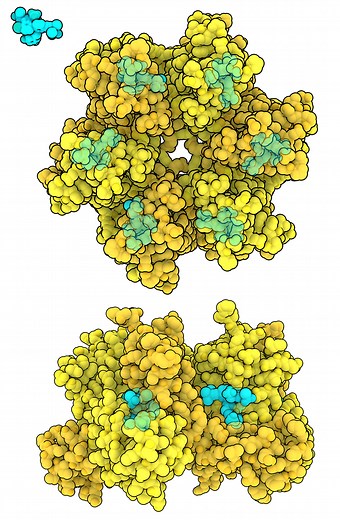 PDB101: Molecule of the Month: Lenacapavir