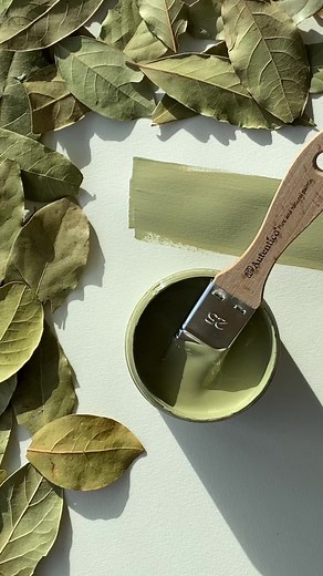 4.5K views · 40 reactions | Bring green into your interior in a classic way with Country Beige  | Autentico Paint | Facebook