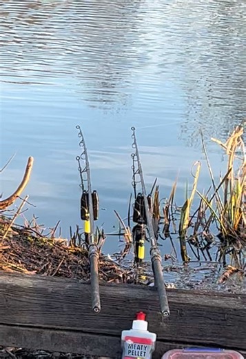 Funny Fishing Moments with Carp