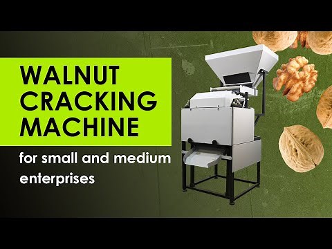 Industrial walnut cracking machine. 80% whole kernel. Most careful cracking