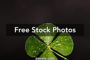 Free Zoom Background Gif Photos