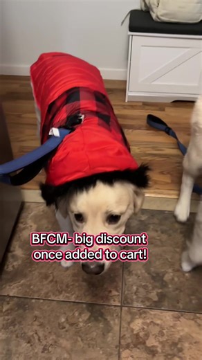 Keep your pup warm and stylish this winter These cozy dog coats are selling fast if you still see this link, they're still in stock! #dogcoat #dogtiktok #tiktokshopblackfriday #petclothing #petparent @ShopHDE