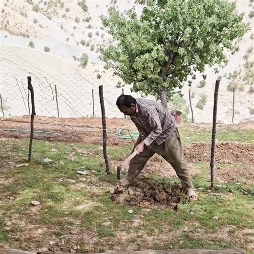 2.7K views · 34 reactions | Using natural methods to prevent rabbits from entering the garden.Part2 | Seamus Guzman | Facebook