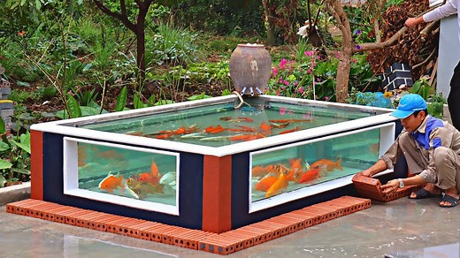 Creating a sustainable outdoor aquarium - design & decoration tips