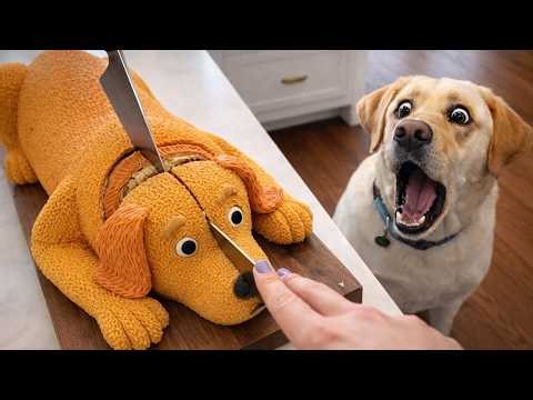😂 Pets React to Realistic Animal Cakes | Try Not To Laugh