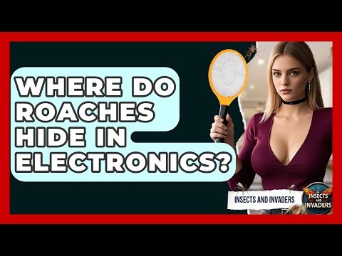 Where Do Roaches Hide In Electronics? - Insects and Invaders