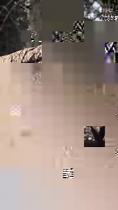 Solar bedchairs and sleep systems are often considered the ‘Best In Class’. Six years after the SP C-Tech Bedchairs and Sleep Systems were released, they’re back with an MKII—and it’s memory foam! In his latest video, Luke reveals the five things you need to know about this new bed 🎥 https://youtu.be/ftH2IFL6l78 | CARPology Magazine