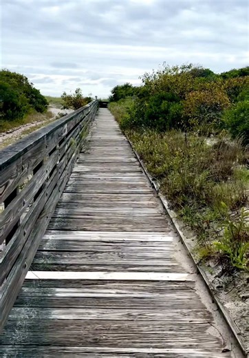 Enjoy the beautiful scenery and relaxing ASMR nature vibes along the scenic DUNE TRAIL BOARDWALK at the Cape May National Wildlife Refuge in Cape May, NJ 🌾🍃 This relaxing nature walk shows the full length of the boardwalk as it stretches through coastal dunes and beach habitat near the ocean. The trail offers stunning views throughout, and watch for a rare daytime sighting of the ATLANTIC GHOST CRAB which quickly scrambles back into its sandy burrow. They usually only come out at night! 🦀 ***