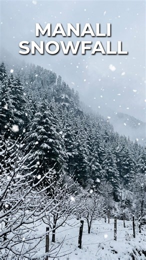 Manali ki winter wonderland vibes! ❄️✨ #Snowfall #ManaliDiaries