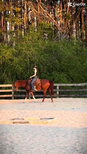 Rode one of my fav glue sticks tdd #fypシ゚viral #western #horseriding