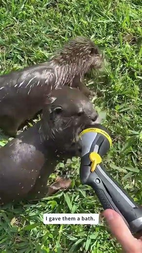 Every small life deserves love and warmth.When they are hurt or scared, I choose to help.❤️