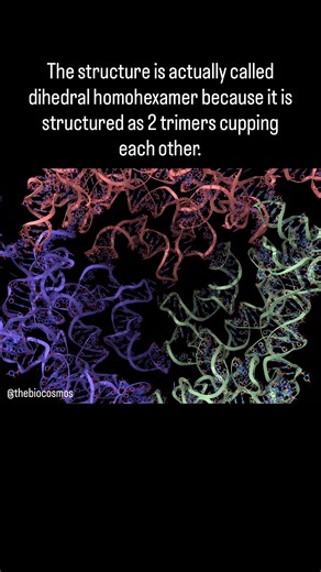 Intriguing Discoveries in RNA Structures Within Bacteria