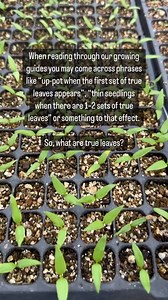 4.8K views · 54 reactions | When reading through our growing guides...