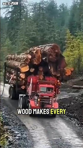 Unbelievable Heavy Logging Truck Hauling Giant Timber Logs in the Forest| #shorts #shortvideos