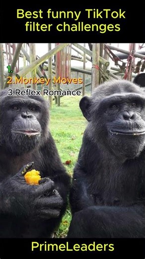 Best funny TikTok Filter Challenges