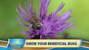 Know Your Beneficial Bugs (Oct. 1, 2021)
