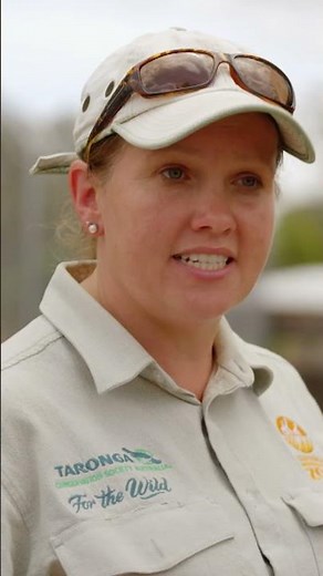 This lion is the mane man 🦁 | Secrets of the Zoo