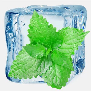 [Hot Item] Cooling Menthol Mint Juice Flavors Liquid Factory