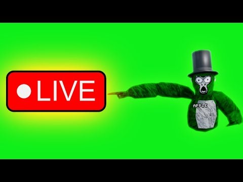 Gorilla Tag Custom Maps With Viewers!