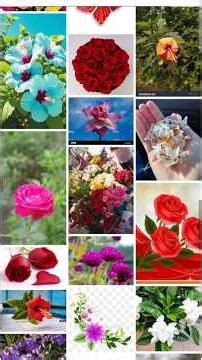 unlimited image for Free🤔 || #viralvideo #viralvideoShort