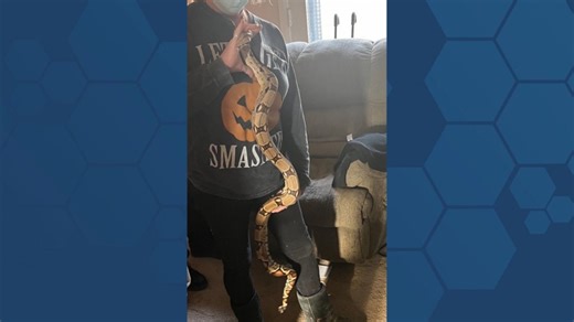 Owner of MaxMan Rescue says Tops employee is the real hero in abandoned snake case