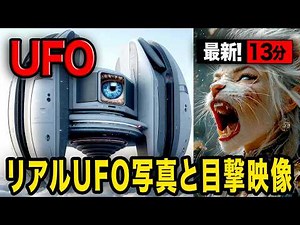 《必見映像》映像に映った生き物は何？「世界のUFO映像最新2025」＜13分＞最新の目撃記録映像で地球外の知性の存在を確認しよう！【YOYO555MAX】