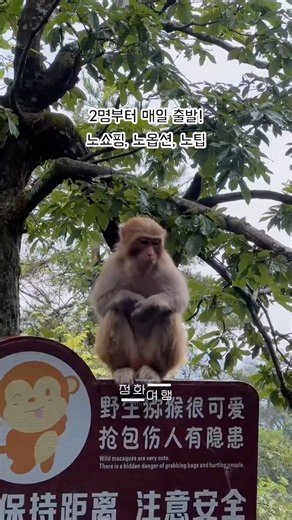 장가계 2박 3일 여행, 이것만 보면 충분합니다! 🇨🇳 #정화여행#장가계여행#장가계현지투어#장가계자유여행#장가계효도여행